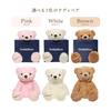 [Sears] Teddy Bear Stuffed Bear Gift Sears (Pearl White)