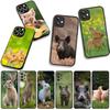 Cover for Apple iPhone 16 15 14 Plus 13 12 Mini 17 Pro Max + ProMax 16E Air Phone Case Rabbit Wild Boar Pig