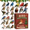 24 Days Christmas Bird Advent Calendar Countdown Calendar Collectibles Christmas Advent Calendar Christmas Party Decoration 2D