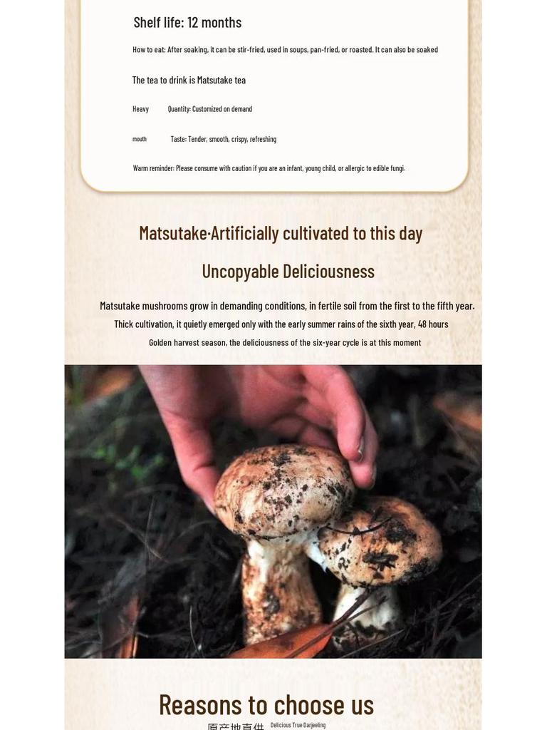 Shangri-La Freeze-Dried Matsutake Center Slice Chips for Hotels