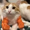 Yousheng Cat Muscle Arm 3D Printed Neck Arm with Muscle Pet Cosplay Costume Accessories for Halloween Birthday Party Supplies