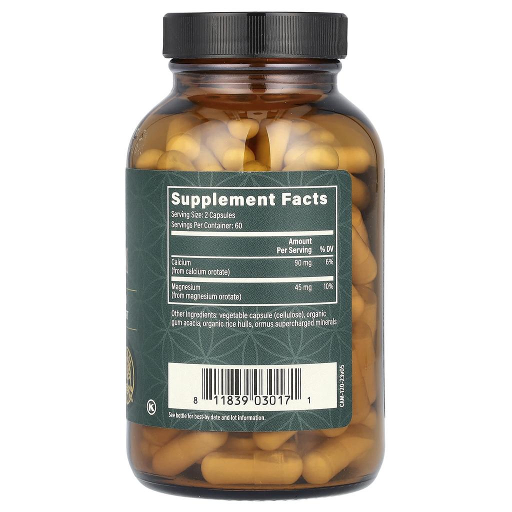 Global Healing Calcium & Magnesium, 120 Capsules