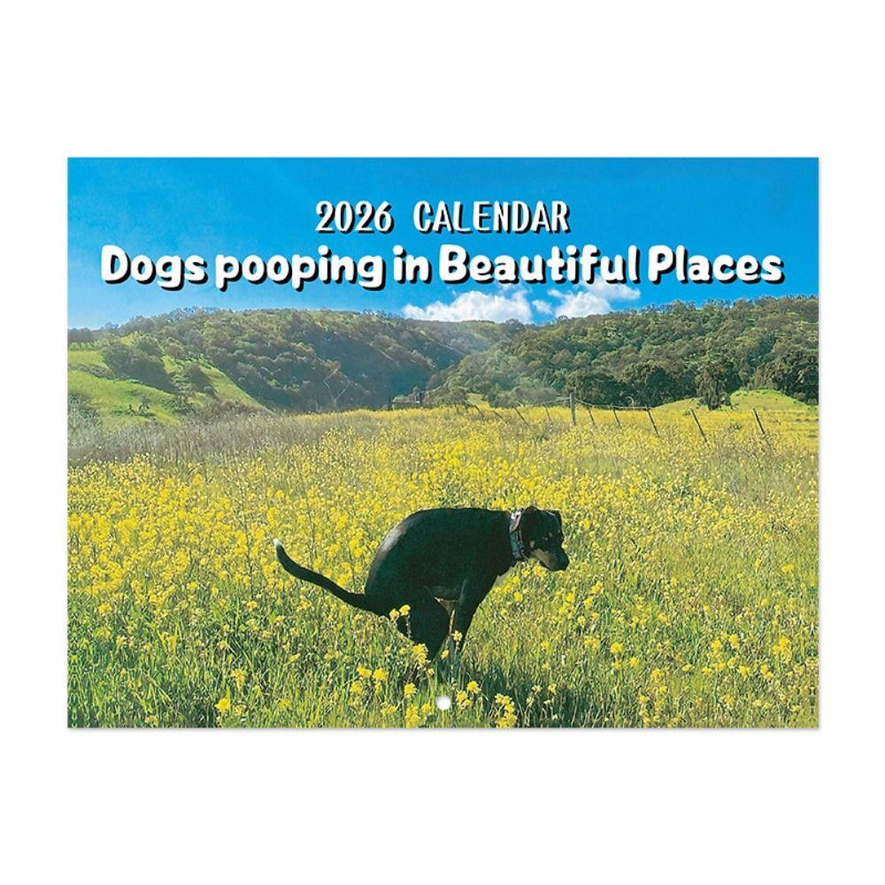 Gag Gift Funny Cat Calendar 12 Monthly Wall Calendar NEW Family Planner Office