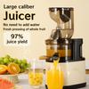 300 Вт Мощная Бытовая Электрическая Соковыжималка Для Фруктов Крупнокалиберный Фруктовый Экстрактор Блендер Медленно Жевание Холодный Пресс Соковыжималка