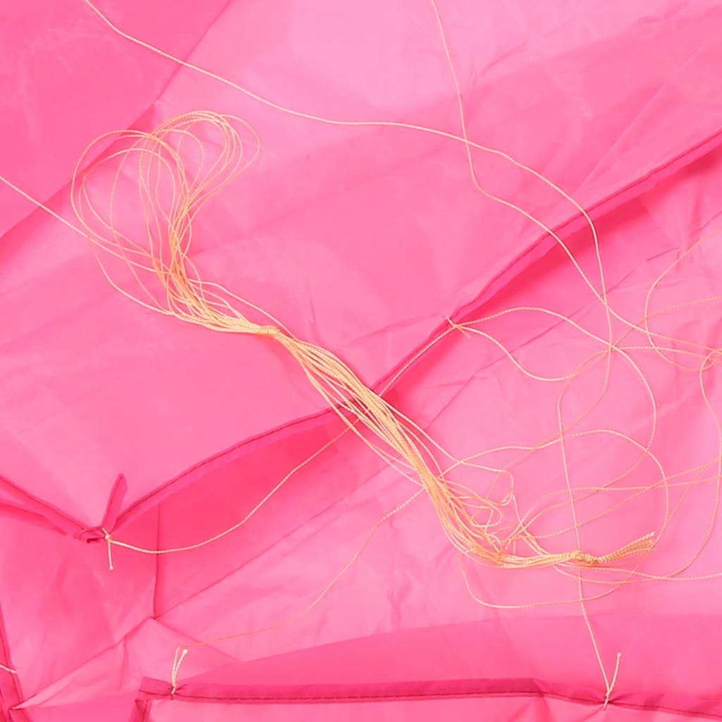 Outdoor Soft Single Line Kite Animal Shape Kite 4 Meters with 30m Kite Line