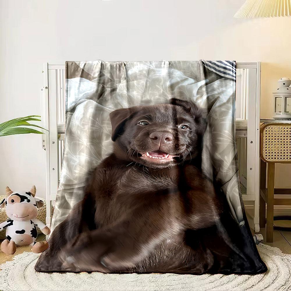 Cute Brown Puppy on Blanket for all seasons blanket lunch break throw gift