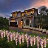 [New for 2025] Solar Garden Lights, Purple Wisteria Flowers, Set of 2, Warm White, Stylish Outdoor Gardening Lights, IP65 Waterproof, Built-in Solar
