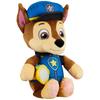 Paw Patrol Good Night Together Chat Chase