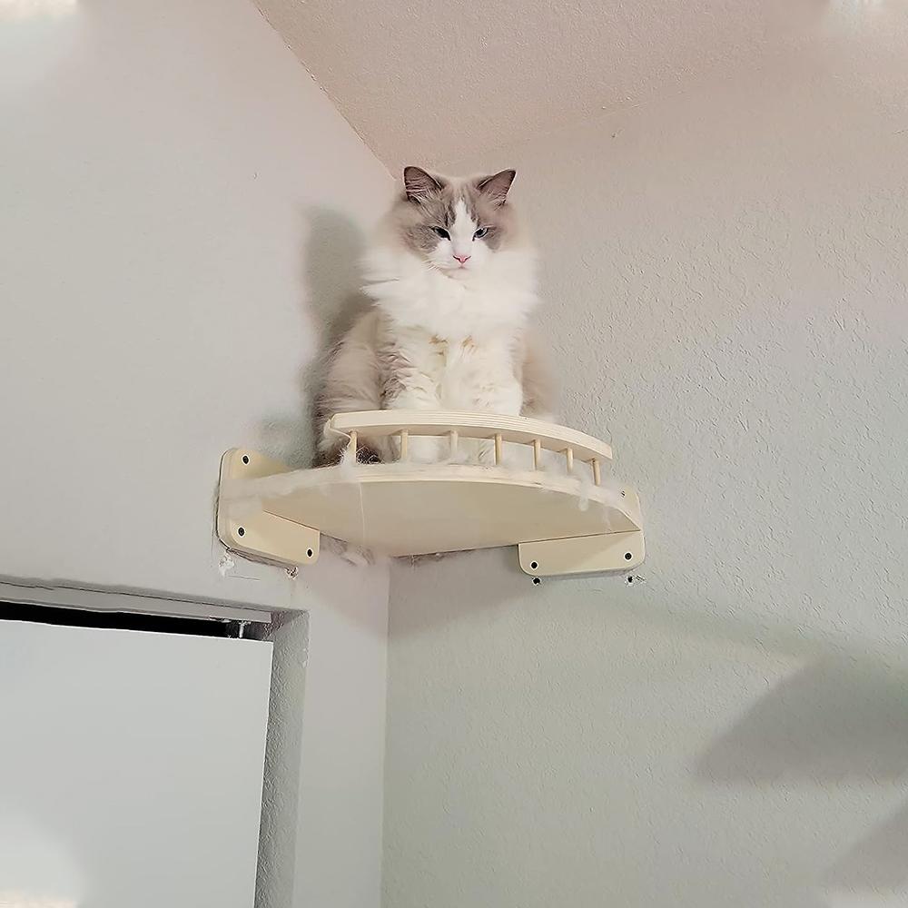 Установленный стеной гамак угла кота мебели с набором 4 шагов для крытых кошек