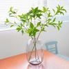 Силиконовые Листья Имитация Растения Дерево Имитация Бионическое Растение Украшение Искусственное Растение Декор Отеля