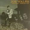 CD JOE WALSH - Ordinary Average Guy SRCS5495 Sony Records 1991 Japan Rock Used