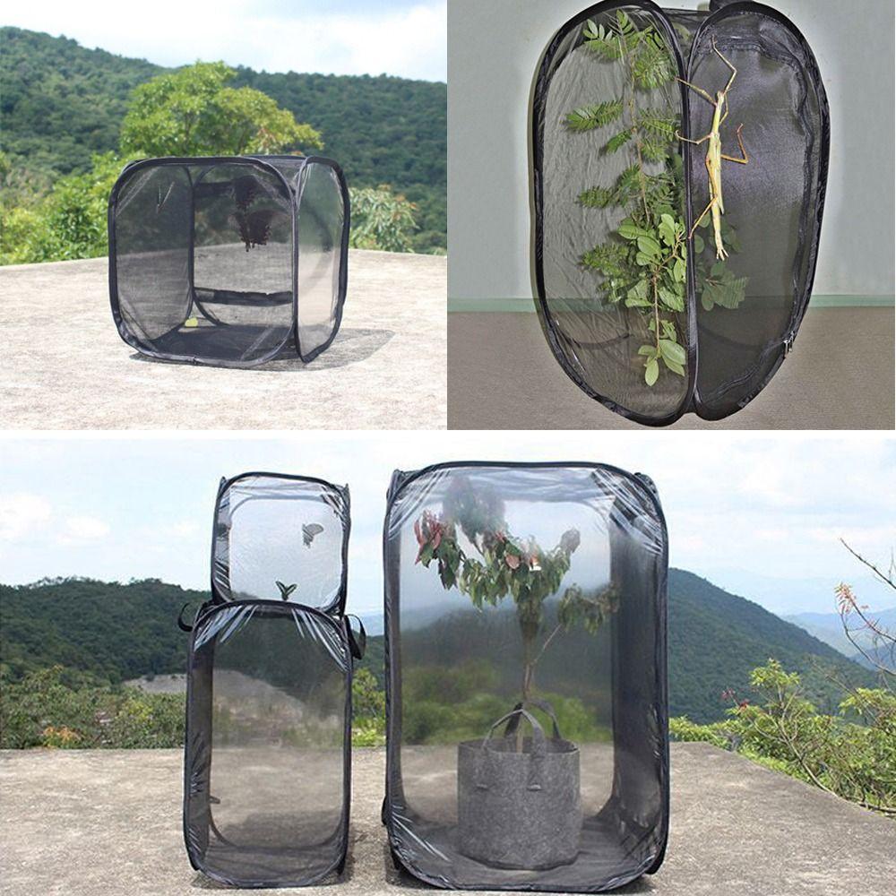 Collapsible Butterfly Habitat Pop-up Protection Net New Butterfly Terrarium