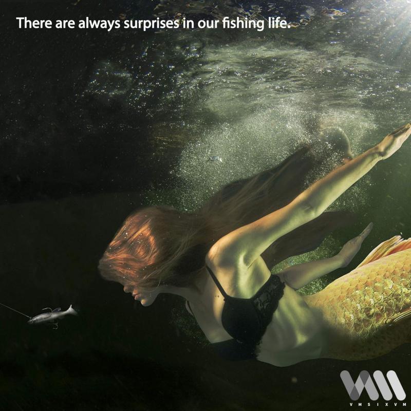 Submersible MinnowTSoft tail bait8CM 13gBionic lure specifically designed for bass fishing in both freshwater and saltwater