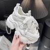 Small Man Height Increase Dad Shoes Women's Shoes New Spring and Summer Platform Sports Casual Muffin
