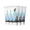 Jeju Nature Green Tea Cleansing Foam X 5
