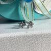 Pentagram Zircon Earrings Female Titanium Steel Ear Hole Earrings Screw Buckle Free of Removal Cochlear Earrings
