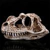 Resin Dinosaur Skull Skeleton Head Figurine Sculpture Ceratosaurus Craft Statues for Decoration Halloween Home Decoration Gift