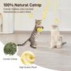 Hanging Catnip Ball Toy Retractable Interactive Cat Teasing Stick Cat Toy Indoor Play Exercise Physical Stimulation