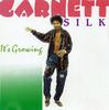 LP Record GARNETT SILK - It's Growing VPRL1255 VP Records 1992 US Reggae, Ska & Dub Used