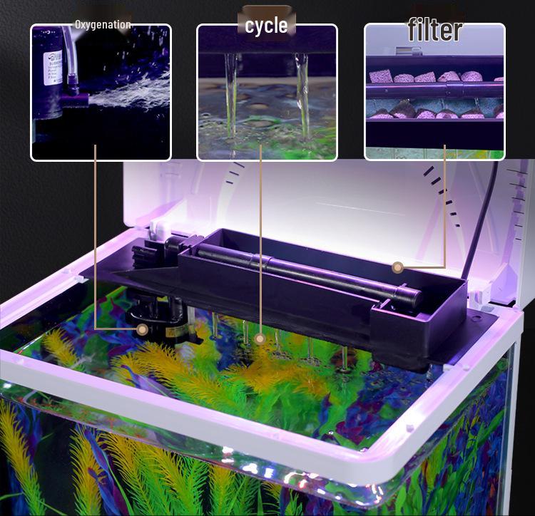 2024 Настольный прямоугольный стеклянный аквариум - Экологичный, Легкая смена воды, Идеально подходит для гостиной и маленьких золотых рыбок