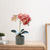 Artificial Potted Plant Faux Moth Orchid Bonsai Desktop Artificial Potted Phalaenopsis Flowers for Home Dining Table Office Desk Decoration