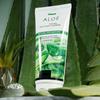 Moist and Soft Oregano Leaf Aloe Cleansing Foam 180ml