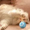 Cat Interactive Ball Training Self-moving Kitten Electric Cat Ball Toys Electronic Automatic Rolling Magic Ball Toys for Cat