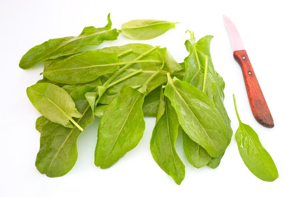 SAFLAX Garden in the Bag - Органический - Французский щавель - 400 семян - С субстратом в подходящем пакете - Rumex acetosa