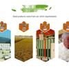 Синяя Луна Алоэ Мыло для рук и Байху Рис Домашний Комплект