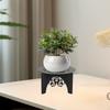 Flower Pot Stand for Plants Flowerpot Holder Decor Rack Minimalist Potted Plant Planter Table