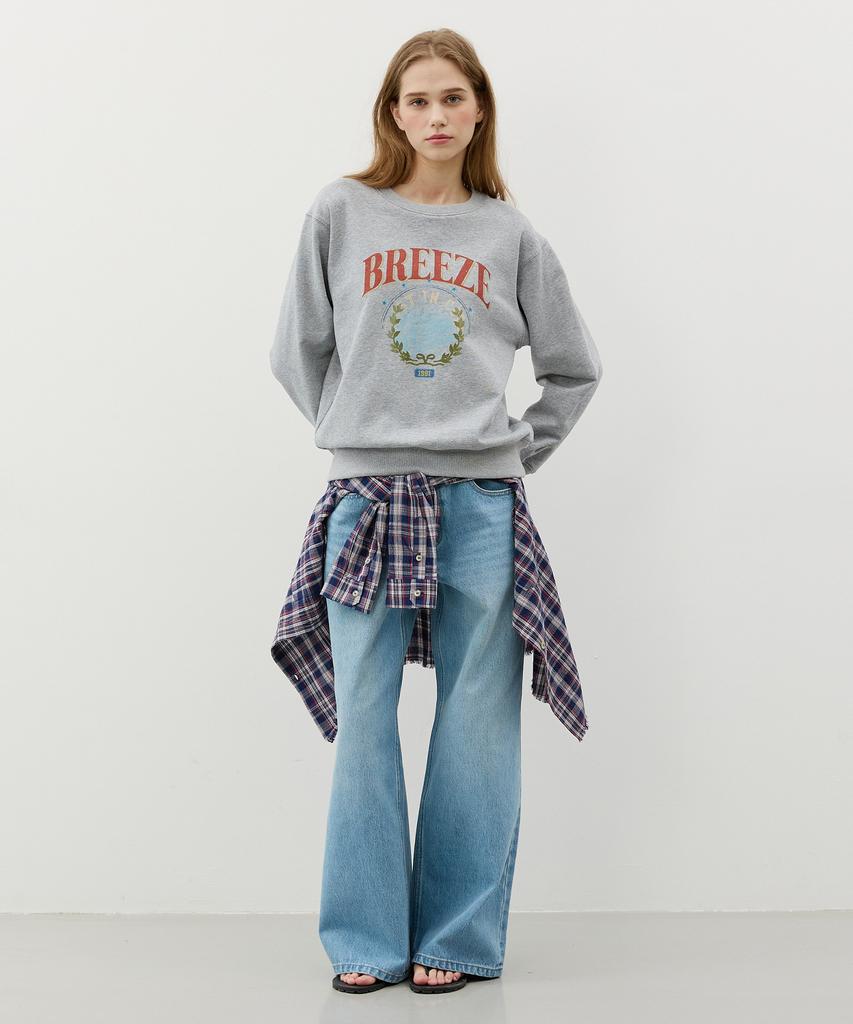 CITYBREEZE Худи Circle Breeze_Меланж Серый