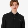 [Lacoste] Men's French Regular Fit Basic Long Sleeve Polo Shirt PH732E-56G031
