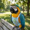 Breathable Mesh Pet Parrot Diaper Snap-Closure Parrot Nappy  for Cockatiel Pigeons
