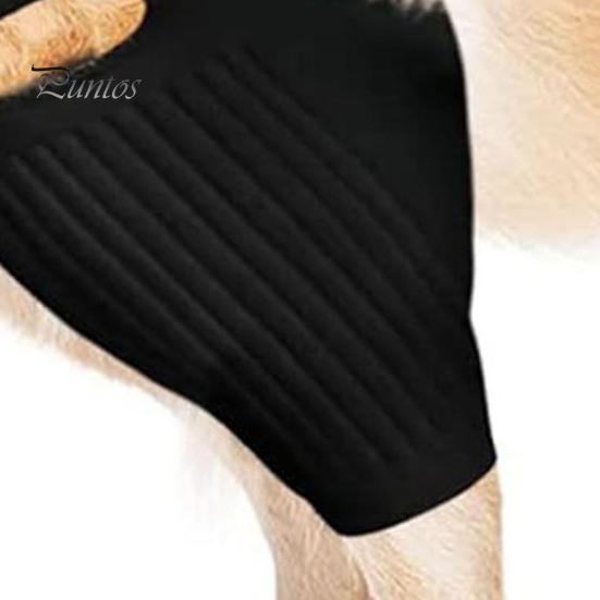 Пояс для восстановления домашних животных, бандаж на ногу собаки, защитный бандаж на колено и бедро для собаки, легко устанавливается, поддерживающий бандаж на ногу собаки, товары для домашних животных