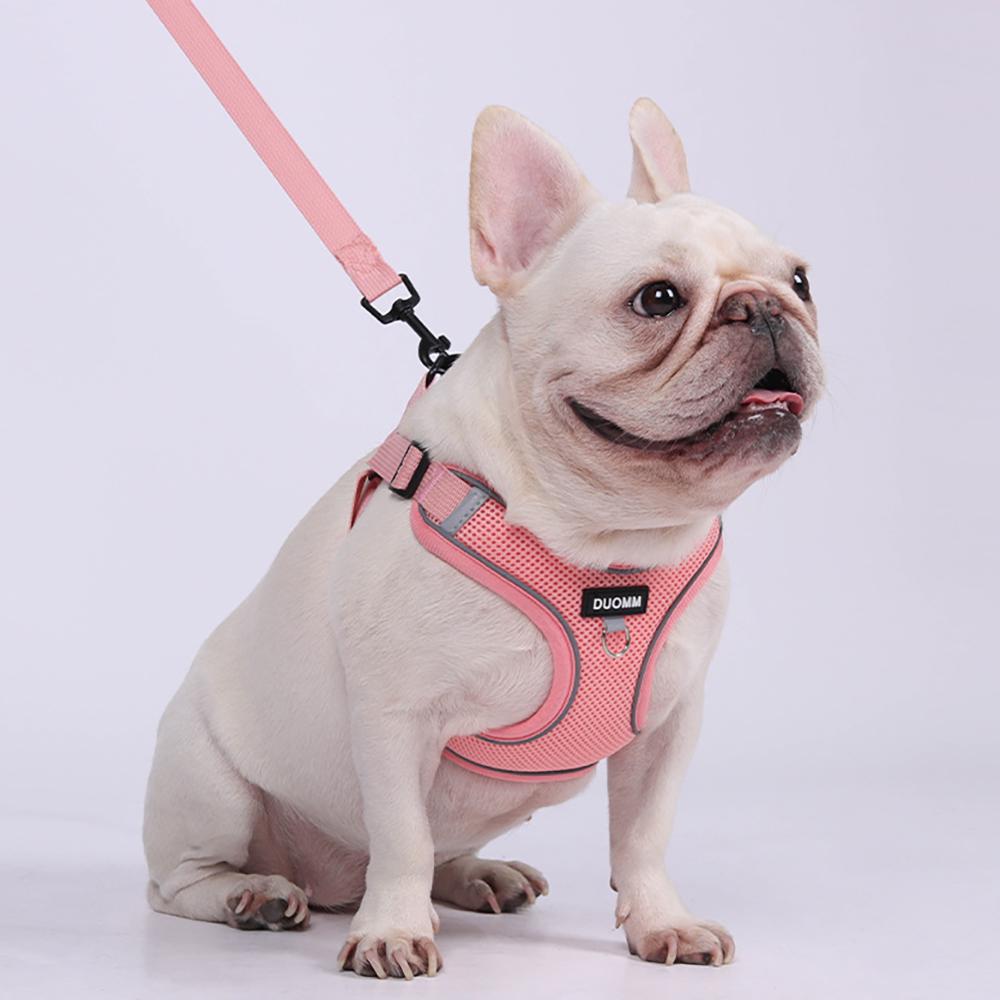 Soft Mesh Dog Harness and Leash Set for Small Medium Dogs, Adjustable Reflective Puppy Vest Comfortable Walking Harness