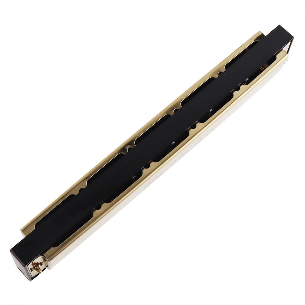 FEIFAN Gold 24 Holes 8K Titanium Harmonica Tremolo Tone Key C Harp Mouth Organ Musical Instruments