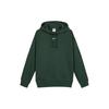 (WMNS) Коллекция Sportswear Флисовая Повседневная Спортивная Толстовка 'Зеленая' Женская DJ7669-397