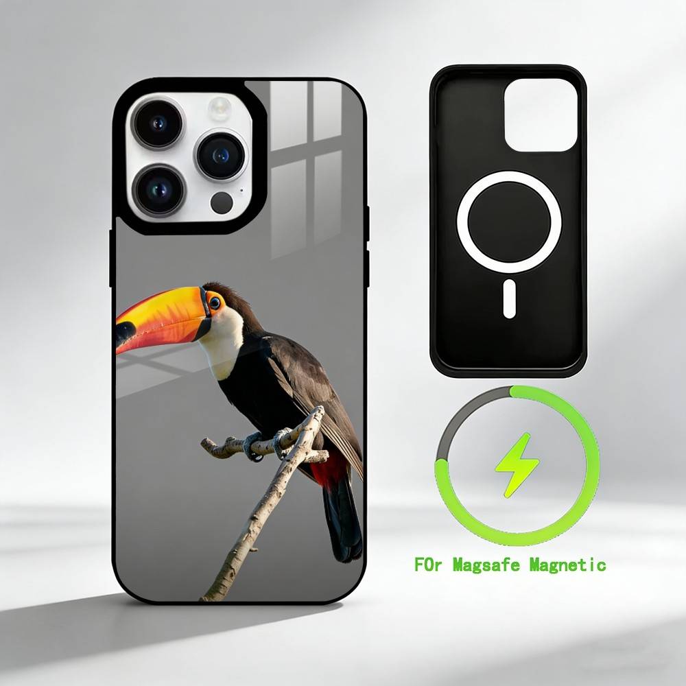Чехол для телефона P-parrot для iPhone 17 16 15 14 13 12 Pro Max Plus, зеркальный, беспроводной, магнитный