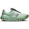 Кроссовки Cloudsurfer Next Z5 Mineral Almond Мужские Синие 3MF10323005