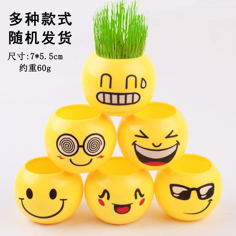 Сделай сам горшечные растения с лицами