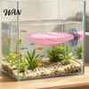 Fish Tank Hammock Betta Shell, with Suction Cup, Resting Platform Platform, Aquarium Accessory for Sleeping Hiding Playing