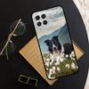 Собака Бордер-колли Для Samsung Galaxy M11 M21 M31 M12 M13 M14 M15 M35 M55 M34 M54 M33 M53 M32 M52 M06 M16 Чехол