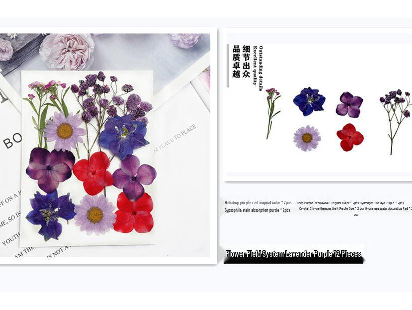 Maifeng Pressed Flower Art Pack: Dried Flower Material and Real Plant Specimens.
