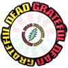 Grateful Dead Spinning Emblem Pin