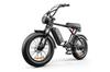 EMOKO C91 20AH Urban electric bicycles 1000Wpowerful single motor 20*4-inch wide tires dual suspension system