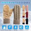 Thermal Knit Gloves for Winter Double-Layer Fleece Lined Windproof Mittens Thick Cold-Weather Gloves for Cycling Outdoor Activities