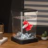 Fish Tank Multiuse Transparent Office Mini Aquarium Small for Living Room Tabletop Frog