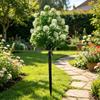 TEMU Hydrangea Ground Insert: Outdoor Lawn & Garden Bonsai Decoration