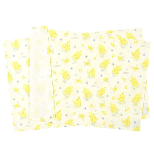 Set of 2 Water-Repellent, No-Iron Placemats (40cm x 60cm) | Popular for Boys and Girls (Mimosa Fleur)