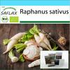 Подарочный набор - Органический - Редис - Длинная белая сосулька - 100 семян - С подарочной коробкой, карточкой, этикеткой и субстратом для горшков - Raphanus sativus